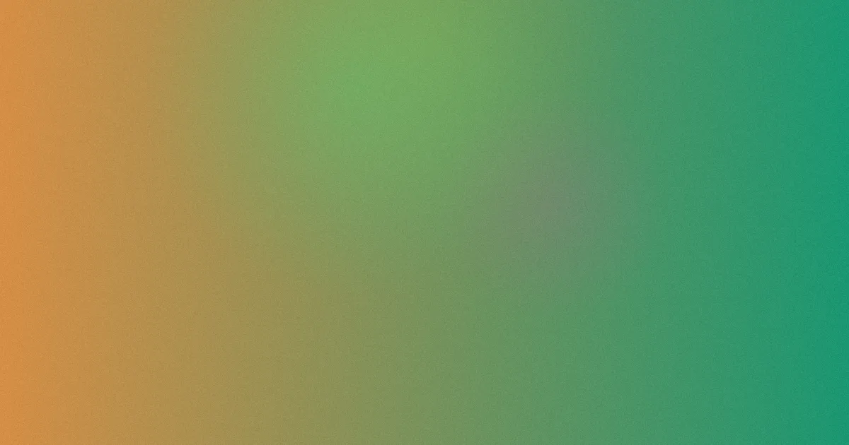 猪小七推荐：新手怎么选